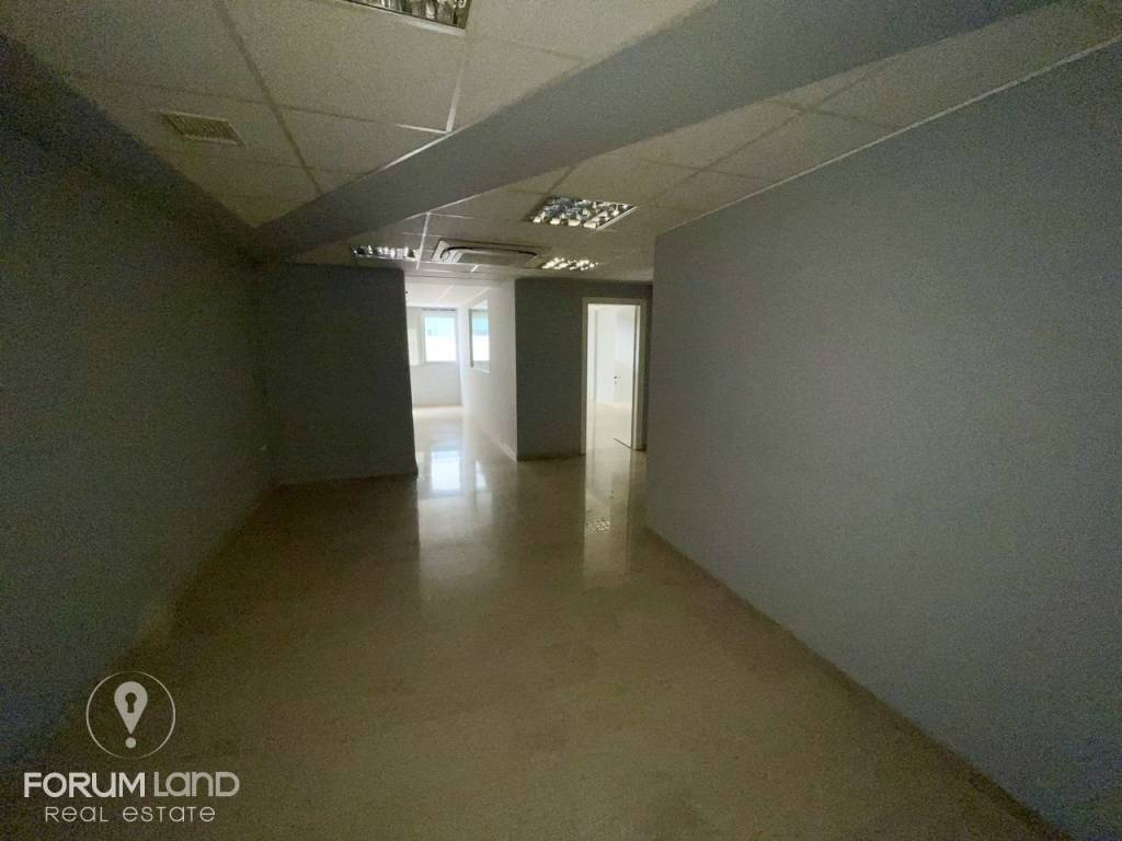 Forumland Real Estate, Επαγγελματικός χώρος