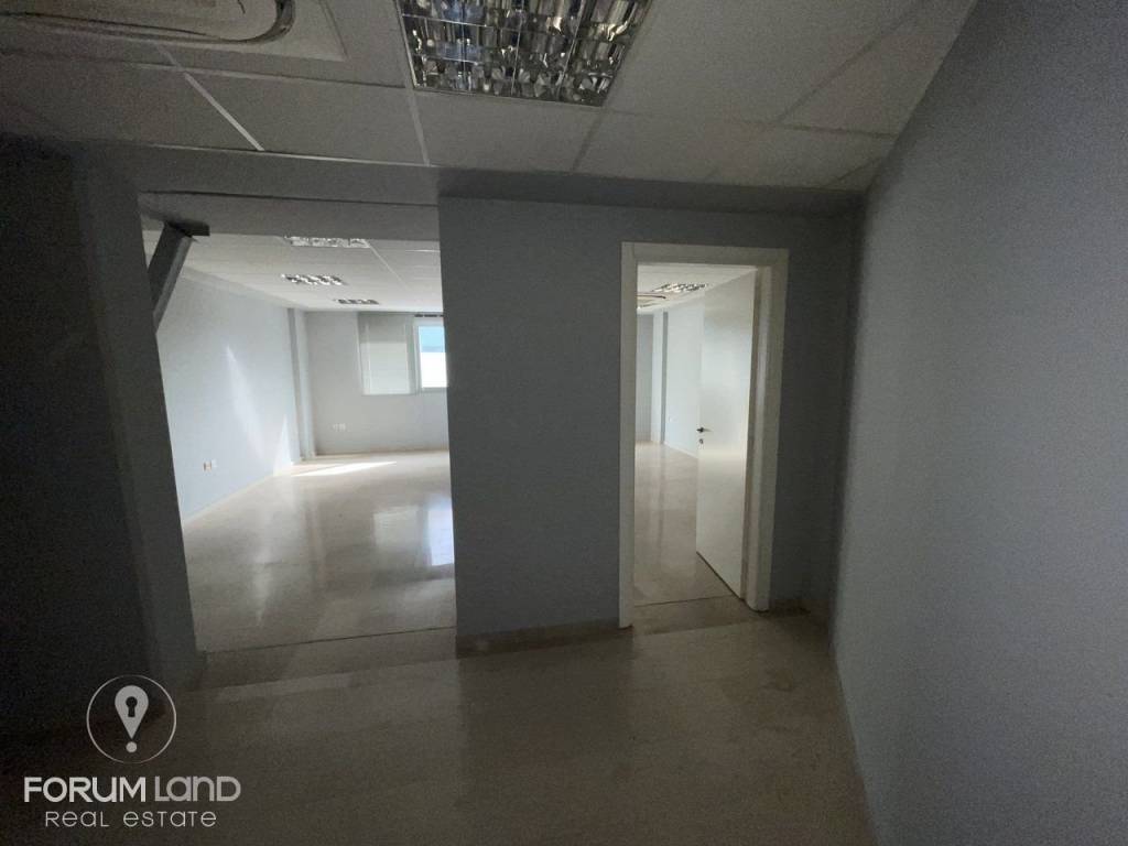 Forumland Real Estate, επαγγελματικός χώρος