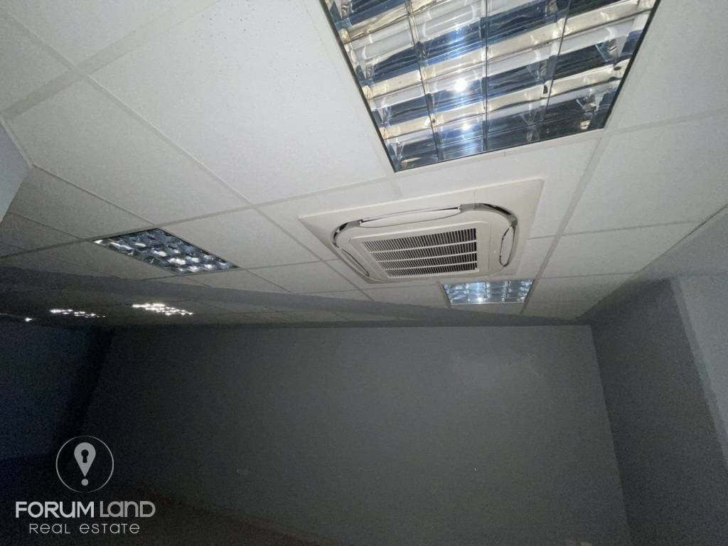 Forumland Real Estate, επαγγελματικός χώρος