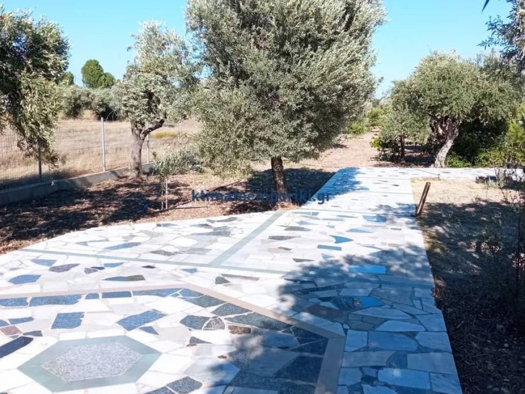 Εξωτερικοι χώροι