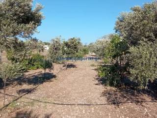 Εξωτερικοι χώροι