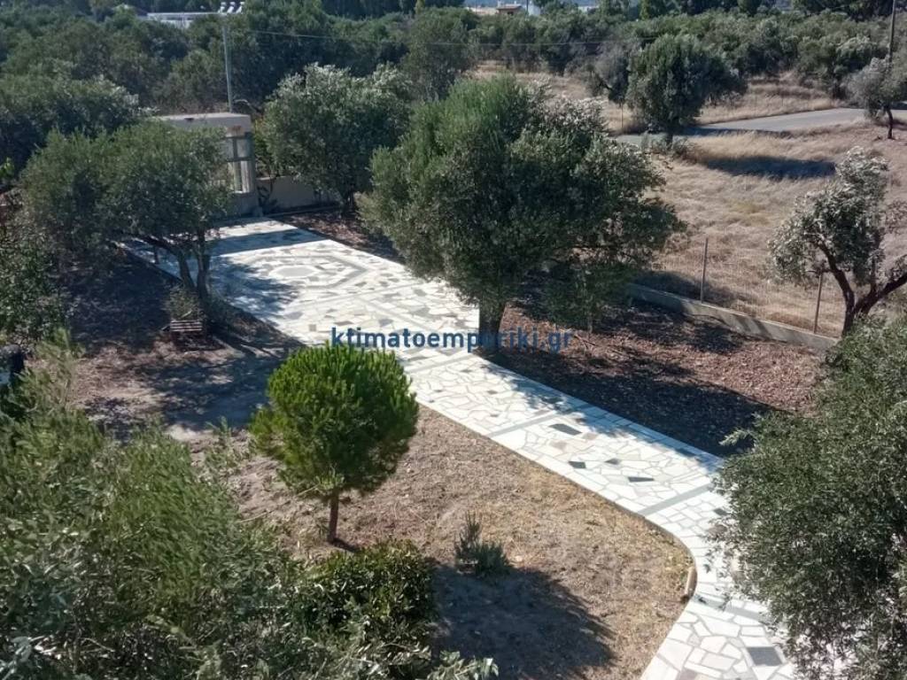 Εξωτερικοι χώροι