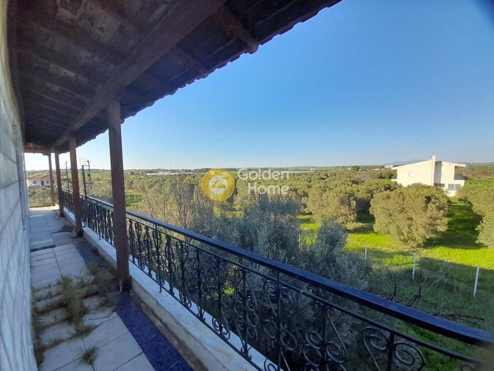 Ανελκυστήρας