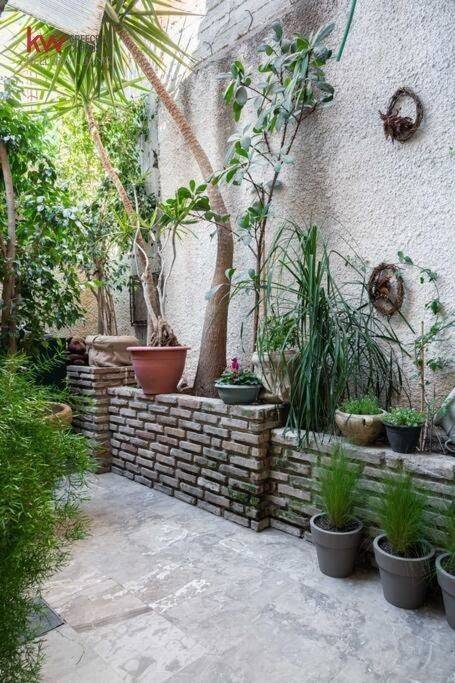 Εξωτερικοι χώροι