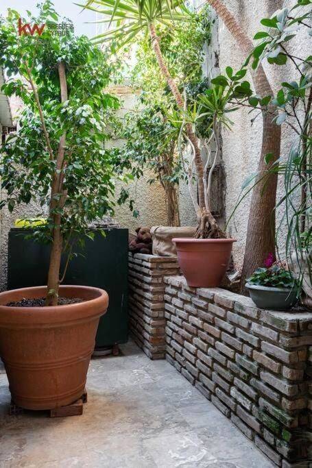 Εξωτερικοι χώροι