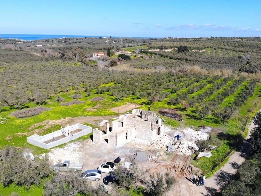 THea stoys elaiones kai to kretiko topio.