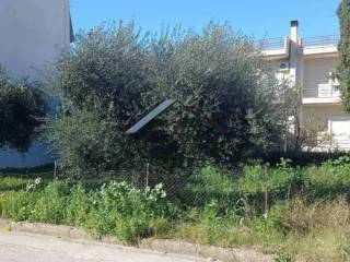 Άποψη Οικοπέδου