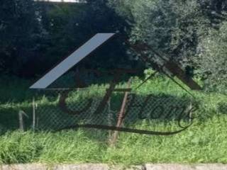 Άποψη Οικοπέδου