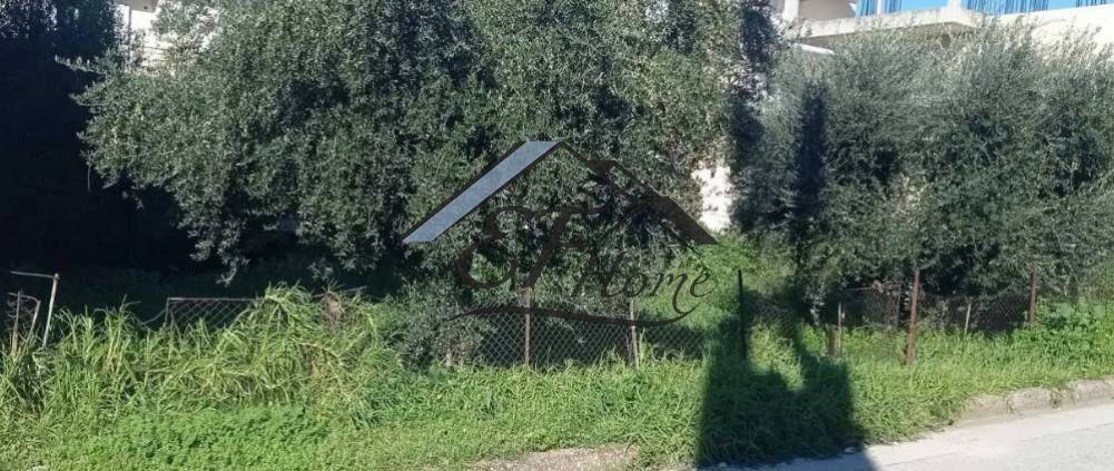 Άποψη Οικοπέδου