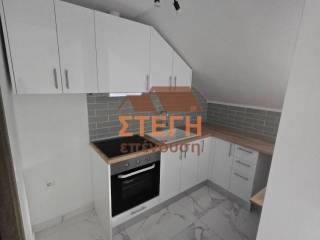 Σαλοκουζίνα