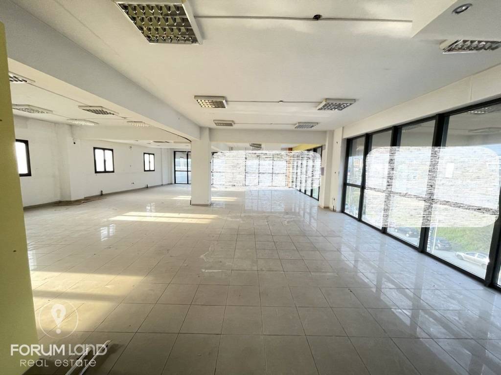 Forumland Real Estate, Επαγγελματικός χώρος