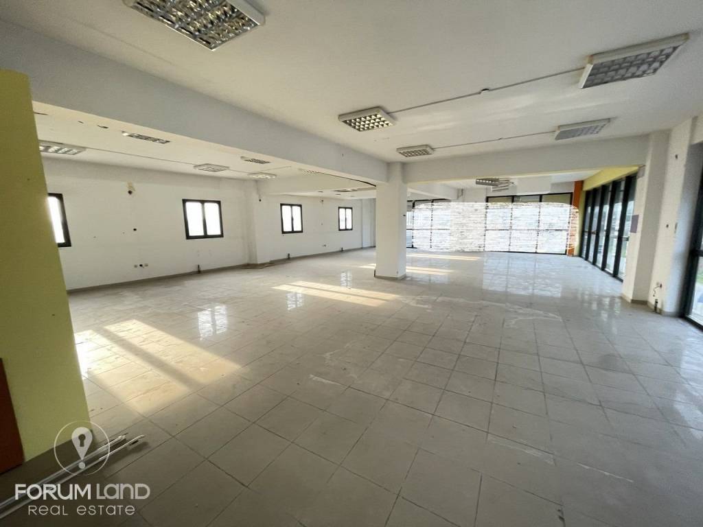 orumland Real Estate, ΕΠαγγελματικός χώρος