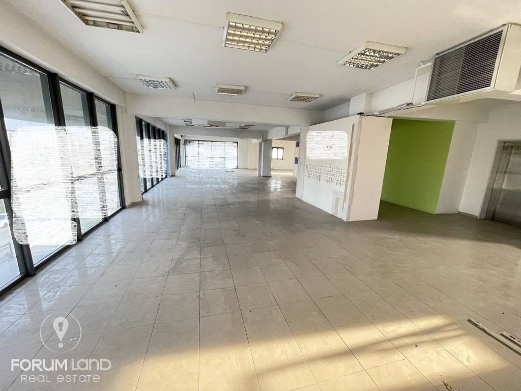 Forumland Real Estate, Επαγγελματικός χώρος