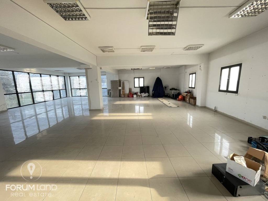 Forumland Real Estate, Επαγγελματικός χώρος