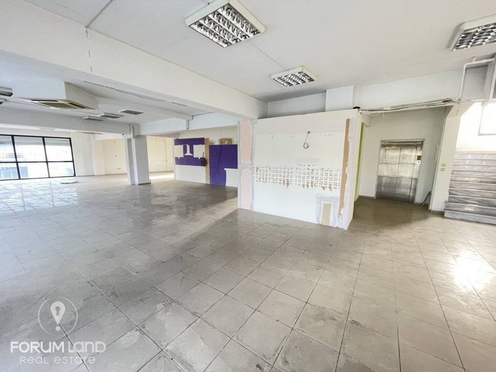 Forumland Real Estate, Επαγγελματικός χώρος