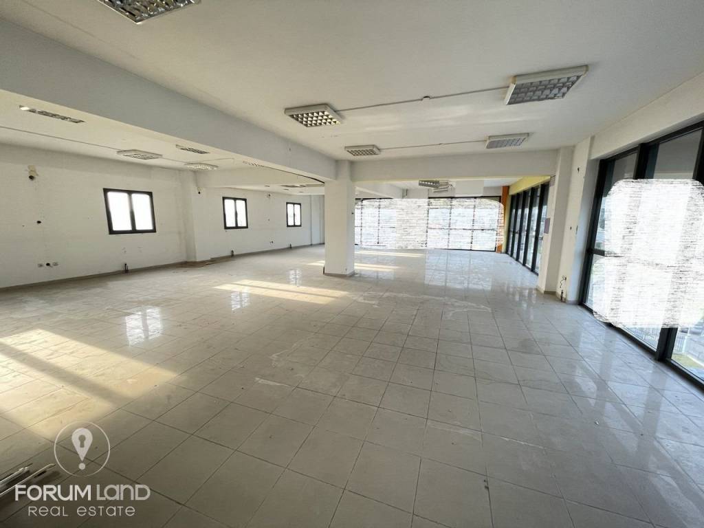 Forumland Real Estate, Epaggelmatikos choros