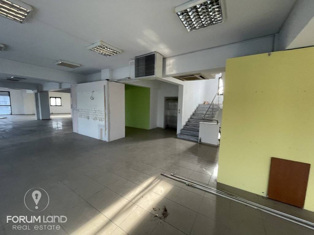 Forumland Real Estate, Epaggelmatikos choros