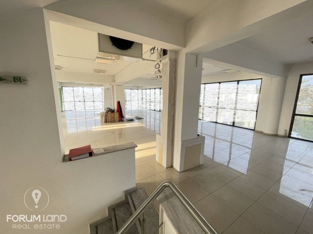 Forumland Real Estate, Epaggelmatikos choros