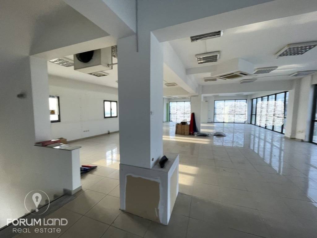 Forumland Real Estate, Epaggelmatikos choros