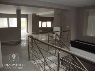 Forumland Real Estate, Πατάρι