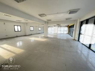 Forumland Real Estate, επαγγελματικός χώρος