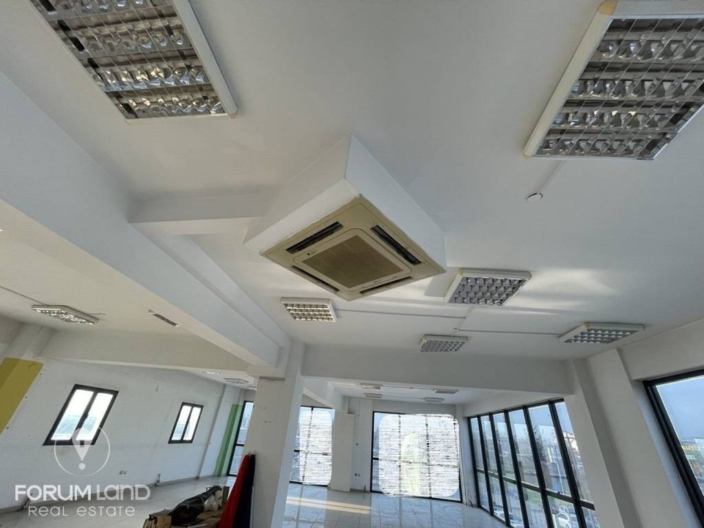 Forumland Real Estate, επαγγελματικός χώρος