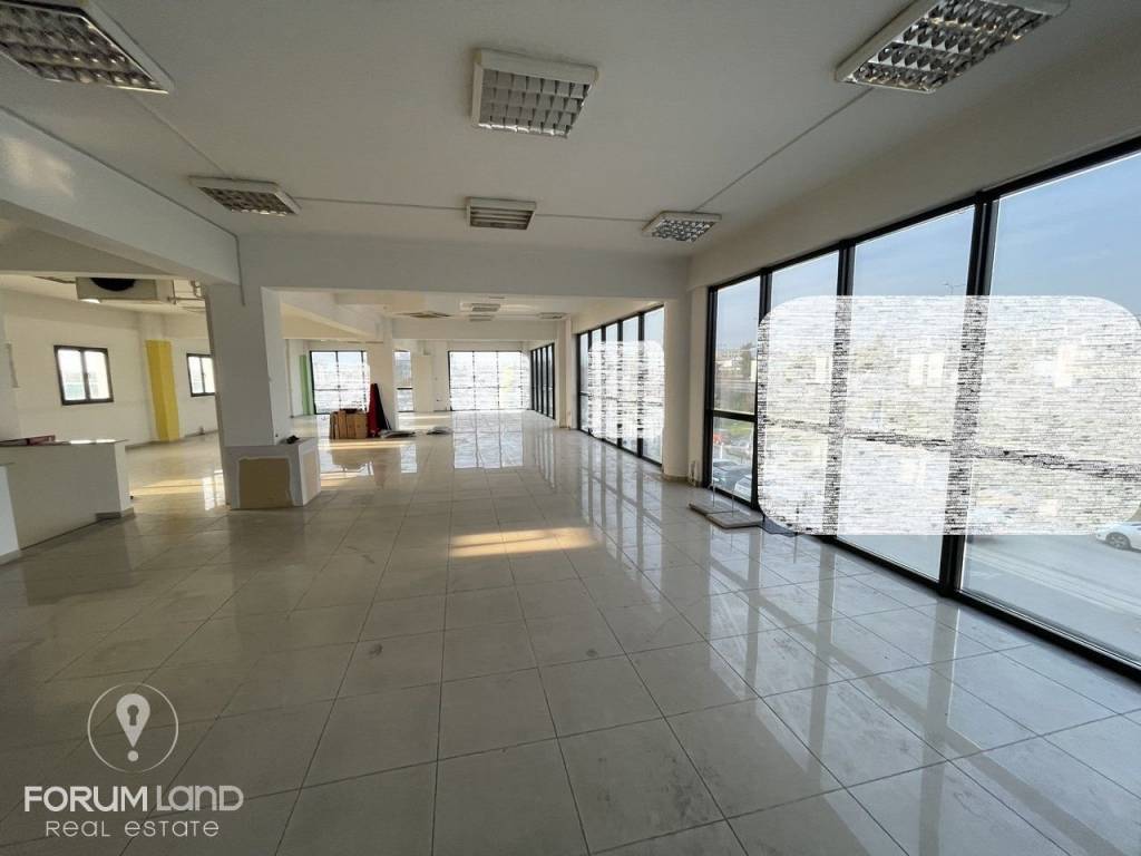 Forumland Real Estate, επαγγελματικός χώρος