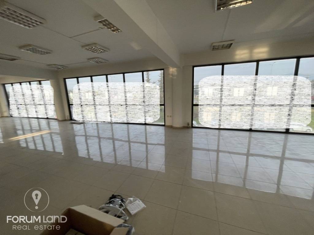 Forumland Real Estate, επαγγελματικός χώρος