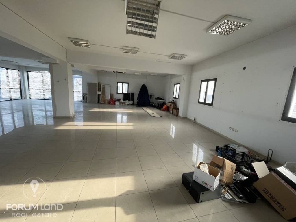 Forumland Real Estate, επαγγελματικός χώρος