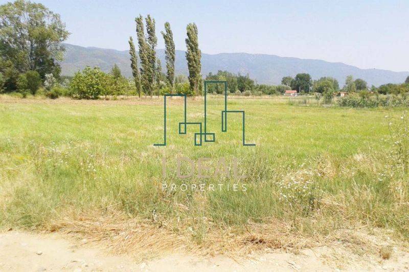 ΓΕΝΙΚΕΣ ΦΩΤΟΓΡΑΦΙΕΣ