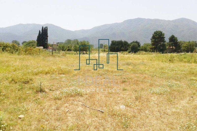 ΓΕΝΙΚΕΣ ΦΩΤΟΓΡΑΦΙΕΣ