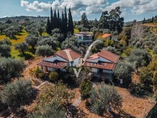 Ύπαρξη ανθρώπου