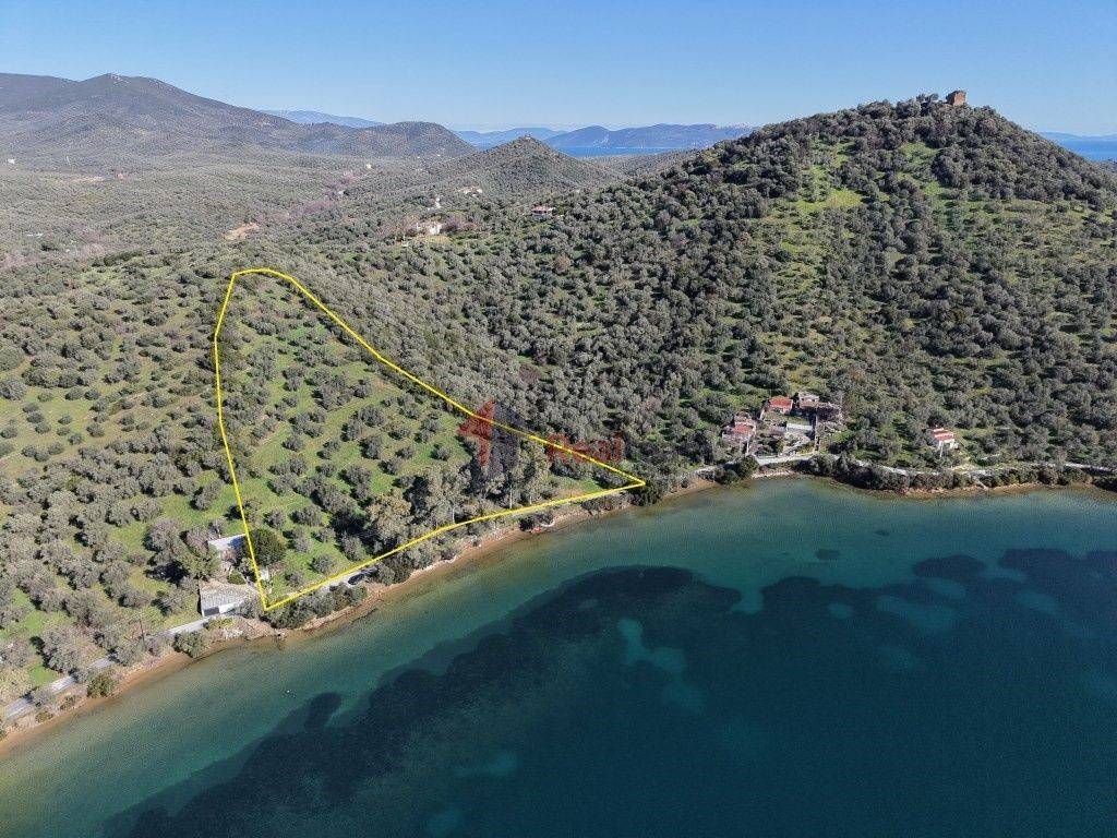 Εξωτερικοι χώροι