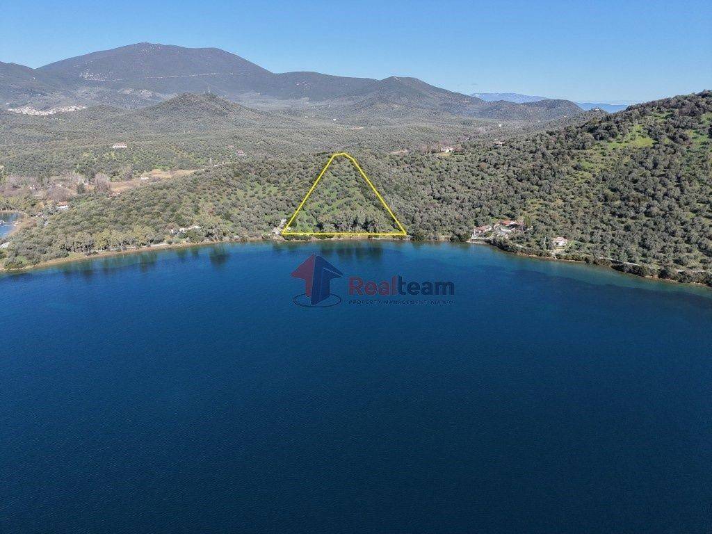 Εξωτερικοι χώροι