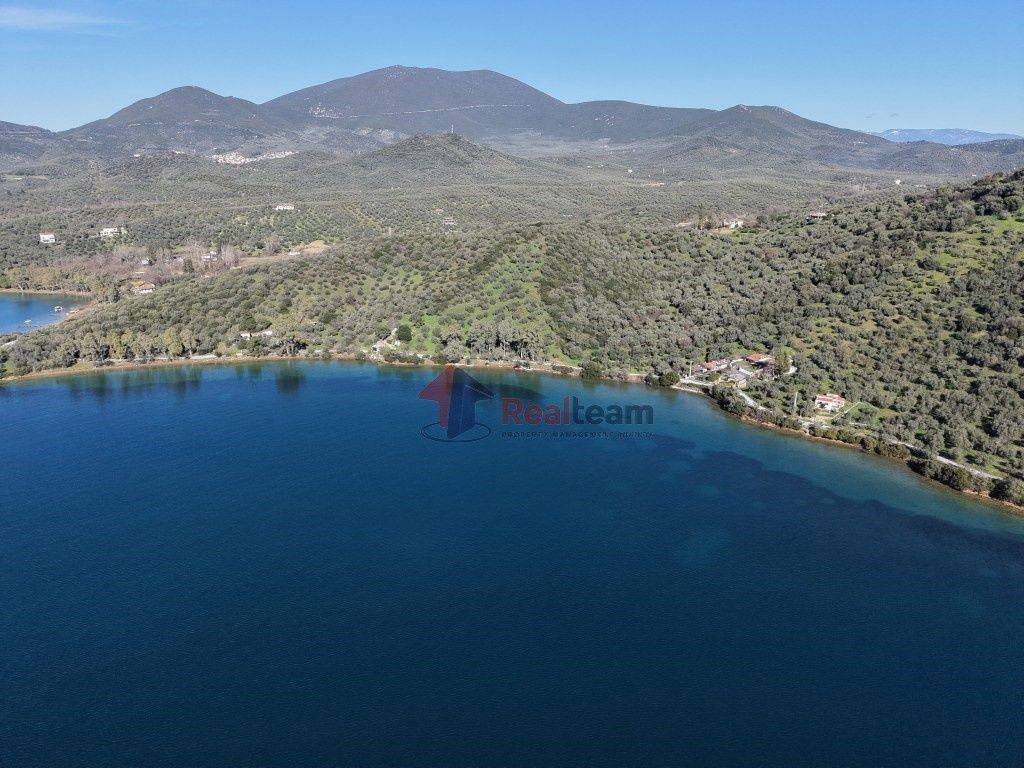 Εξωτερικοι χώροι