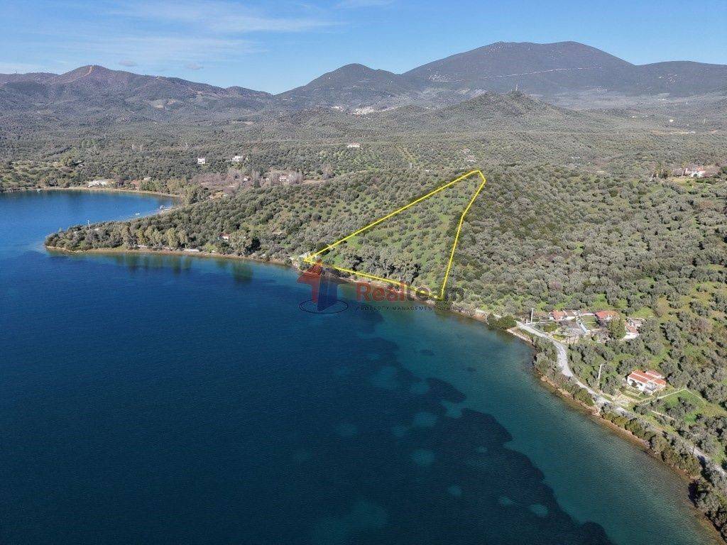 Εξωτερικοι χώροι