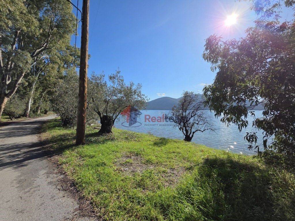 Εξωτερικοι χώροι