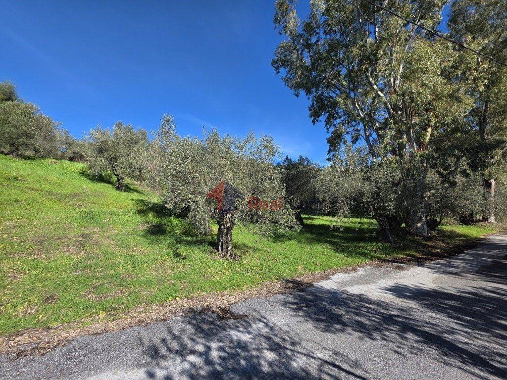 Εξωτερικοι χώροι