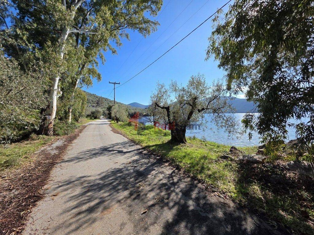 Εξωτερικοι χώροι