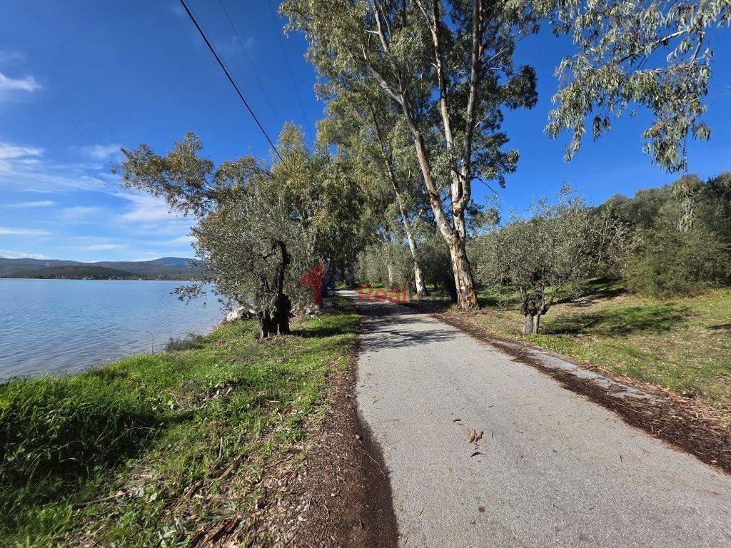 Εξωτερικοι χώροι