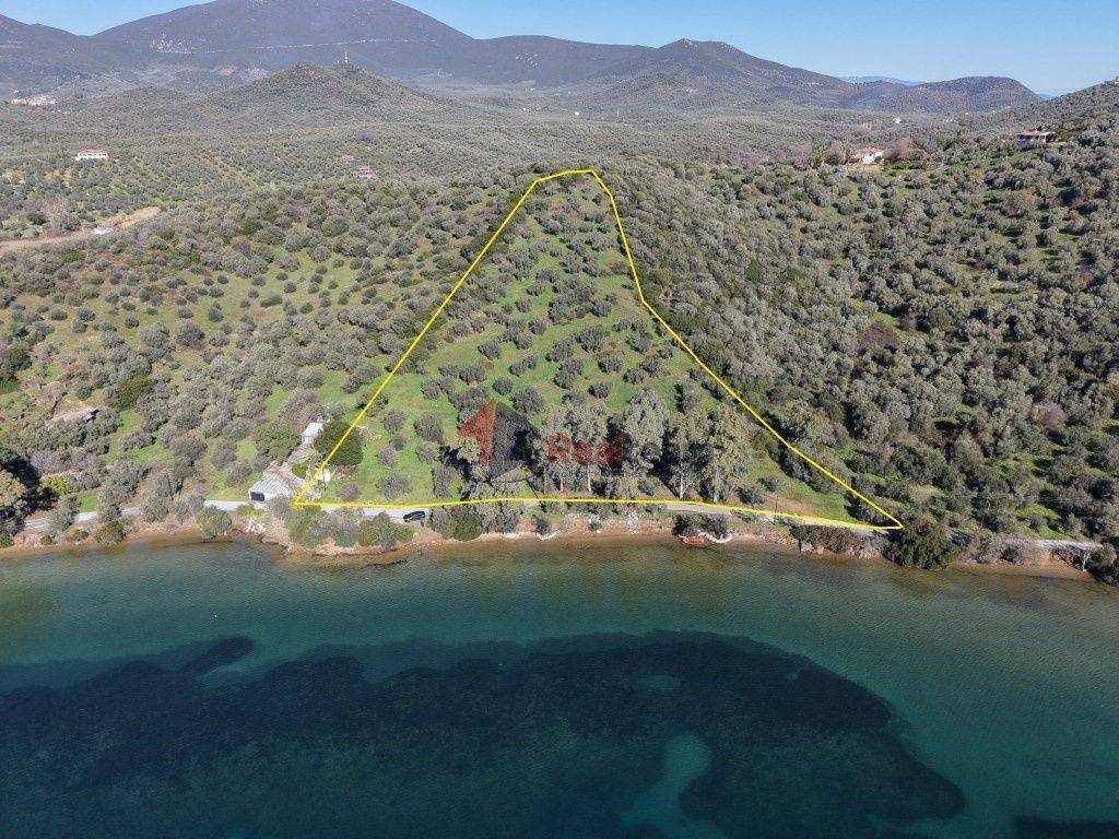 Εξωτερικοι χώροι