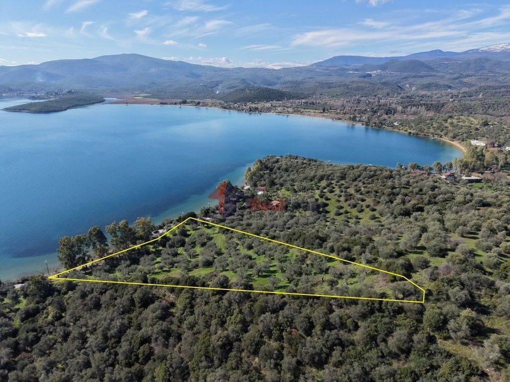 Εξωτερικοι χώροι