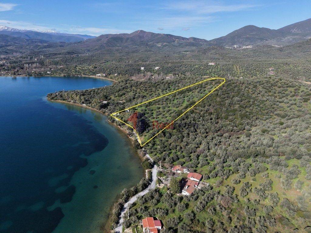 Εξωτερικοι χώροι