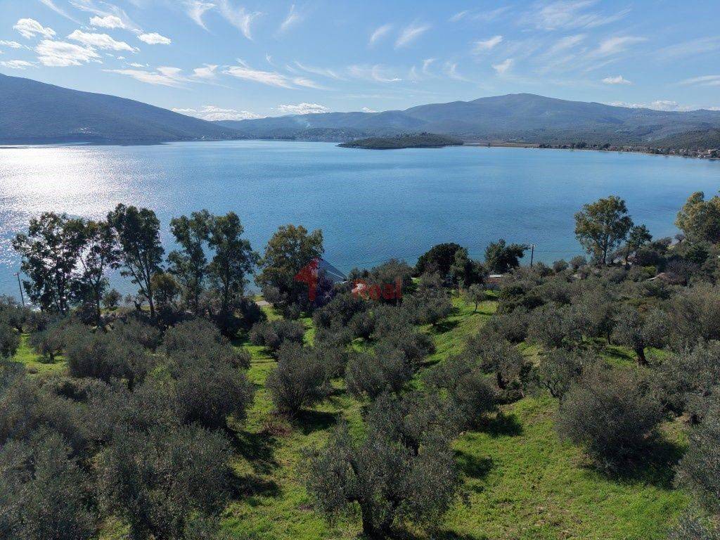 Εξωτερικοι χώροι