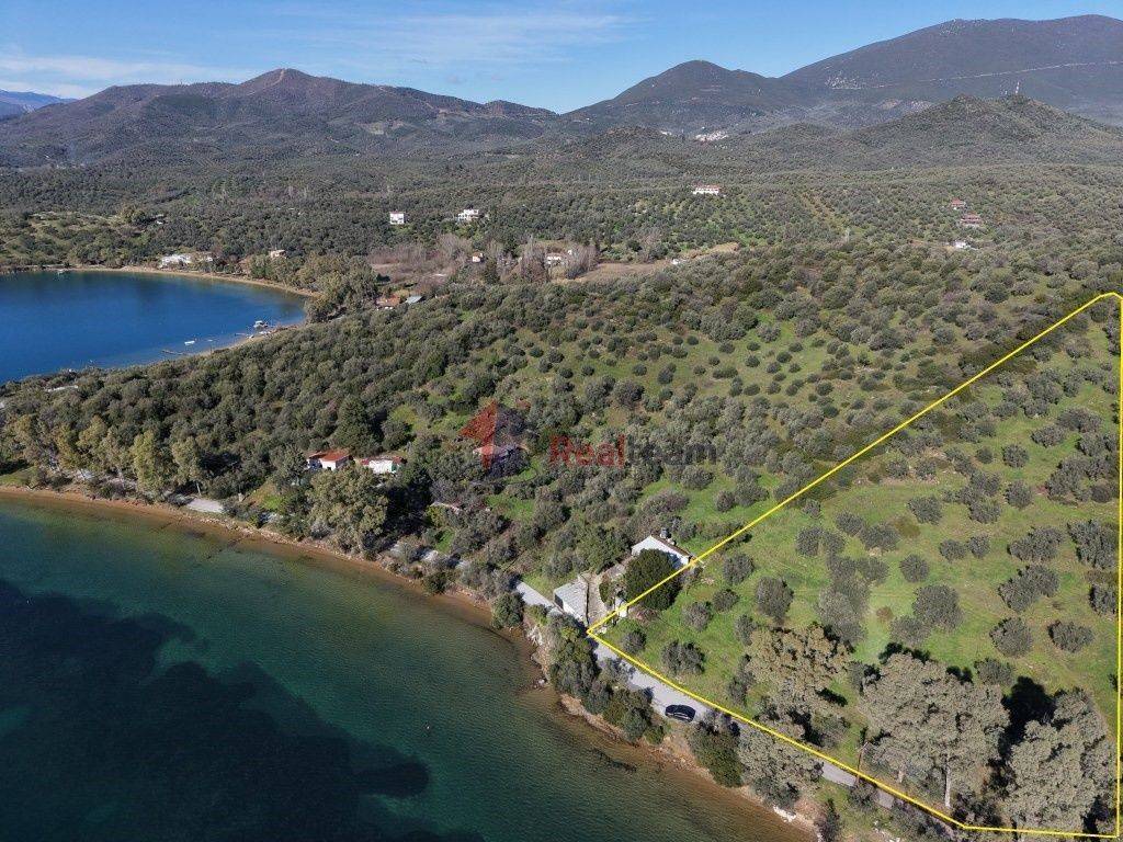 Εξωτερικοι χώροι