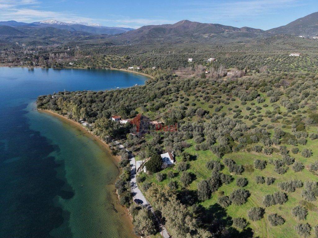 Εξωτερικοι χώροι