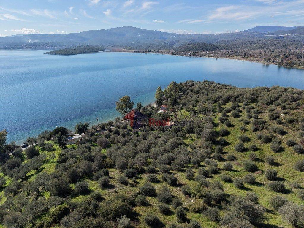 Εξωτερικοι χώροι