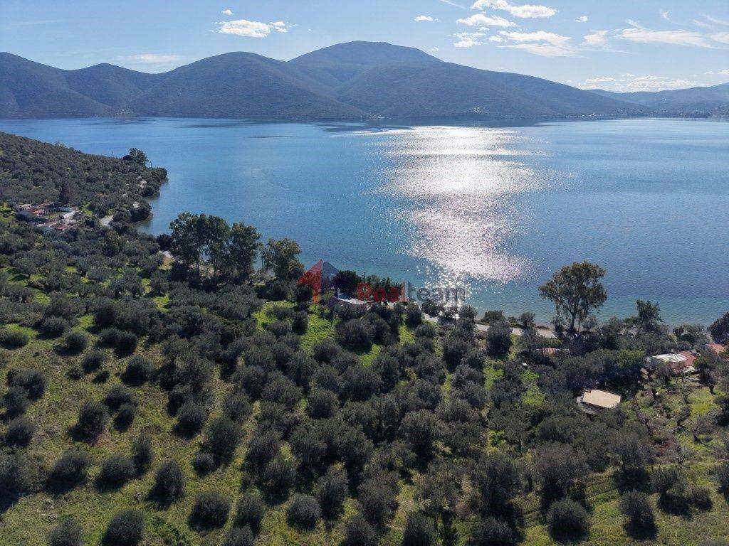 Εξωτερικοι χώροι