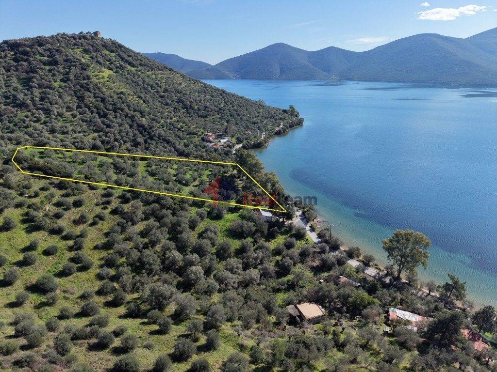 Εξωτερικοι χώροι