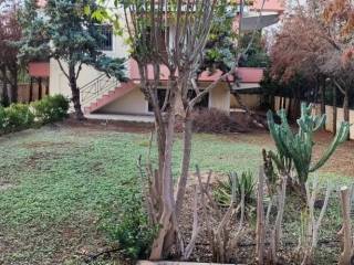 Detached - Grekodom 65607|1051508